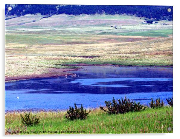 MONTANA RANCH Acrylic by Larry Stolle