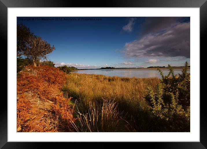 Poole Harbour Framed Mounted Print by Phil Wareham