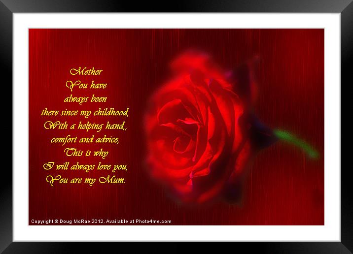 Red rose Framed Mounted Print by Doug McRae