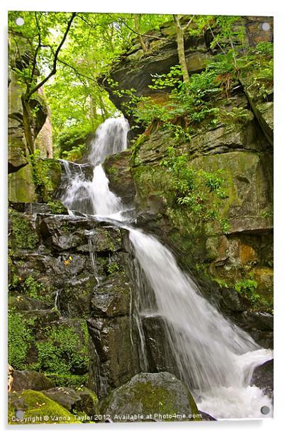 Lumsdale Valley Waterfall Acrylic by Vanna Taylor