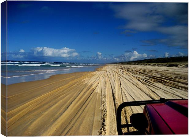 Fraser Island, Queensland, Australia Canvas Print by Pete Townshend