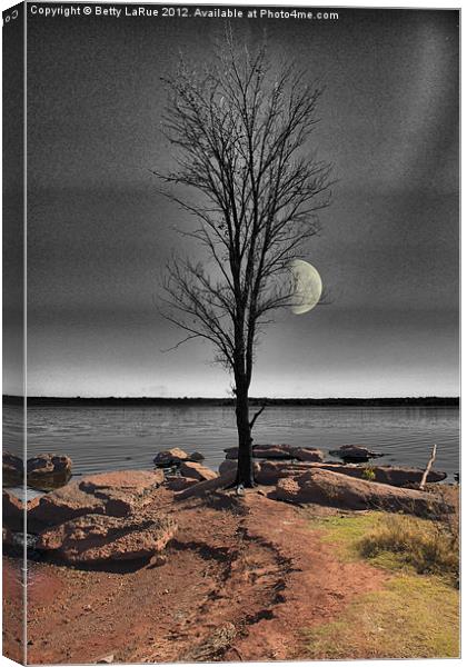 The Lone Tree Canvas Print by Betty LaRue