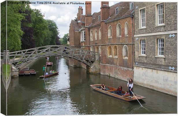 Punting on the Cam Canvas Print by Pauline Tims
