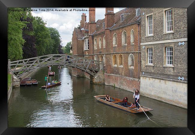 Punting on the Cam Framed Print by Pauline Tims