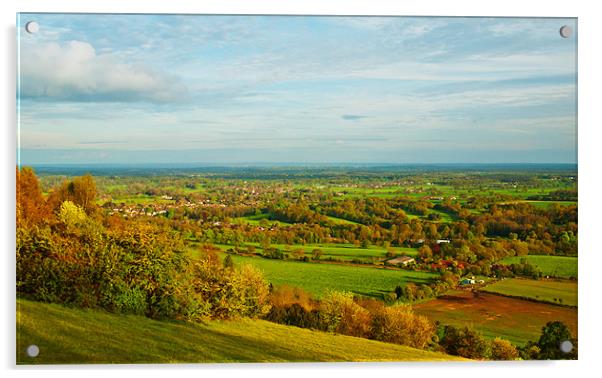 Box Hill View Acrylic by Clive Eariss