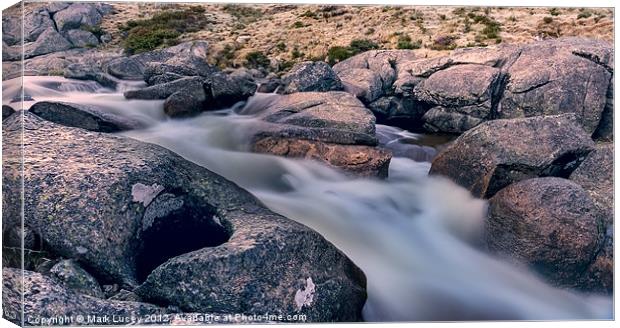 Frosty Creek Canvas Print by Mark Lucey