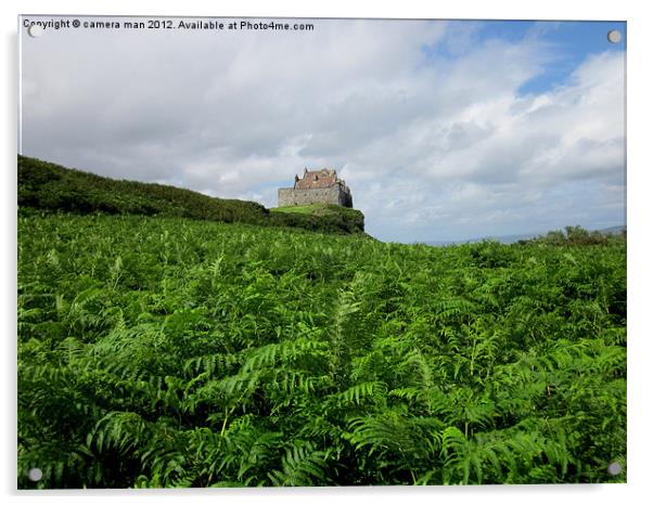 Castle Ferns Acrylic by camera man