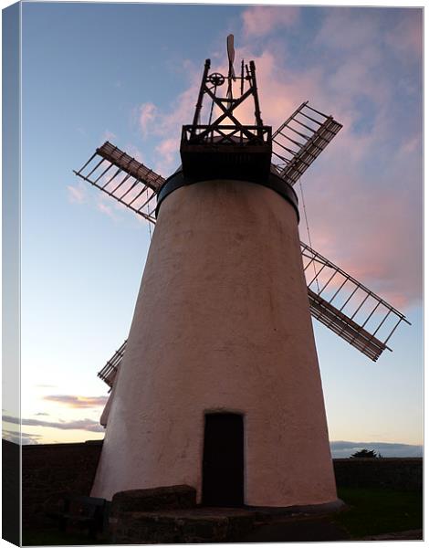 Windmill at Ballycopeland Canvas Print by Noreen Linale