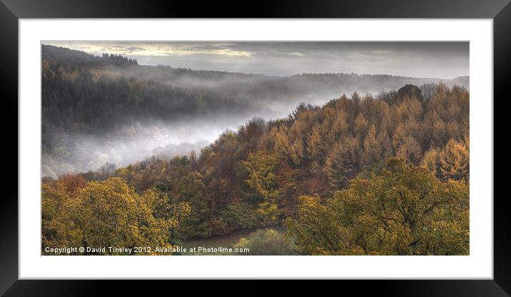 Misty Autumn Morning Framed Mounted Print by David Tinsley