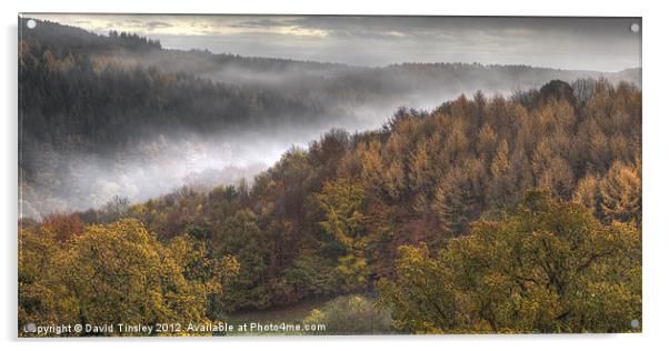 Misty Autumn Morning Acrylic by David Tinsley
