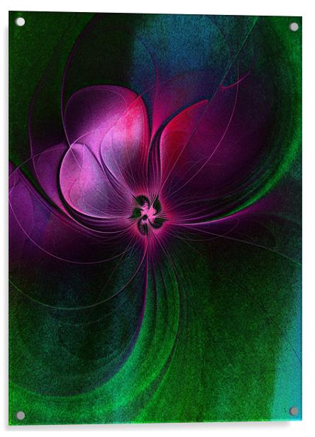 Passion Flower Acrylic by Amanda Moore