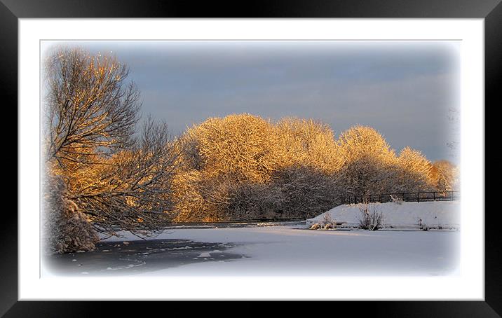 winter sun Framed Mounted Print by sue davies