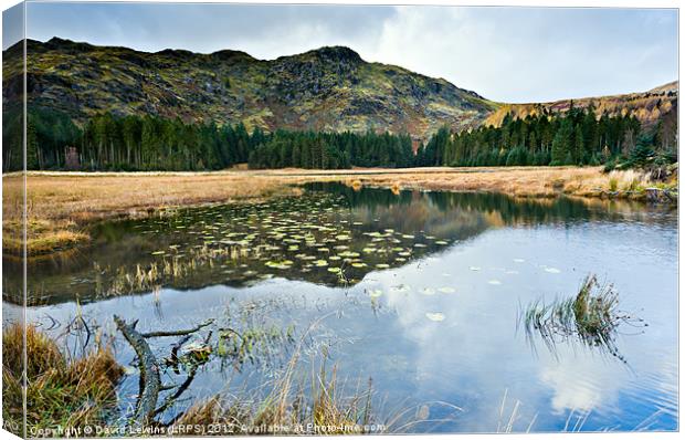 Harrop Tarn - Cumbria Canvas Print by David Lewins (LRPS)