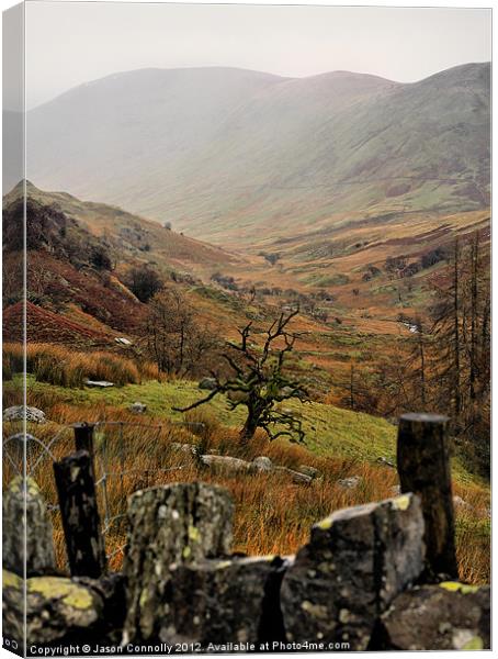 The Lone Tree, Kirkstone pass Canvas Print by Jason Connolly