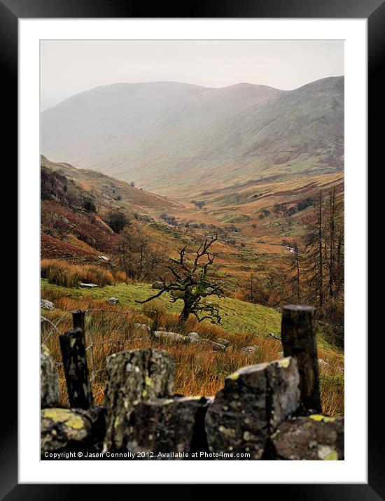 The Lone Tree, Kirkstone pass Framed Mounted Print by Jason Connolly