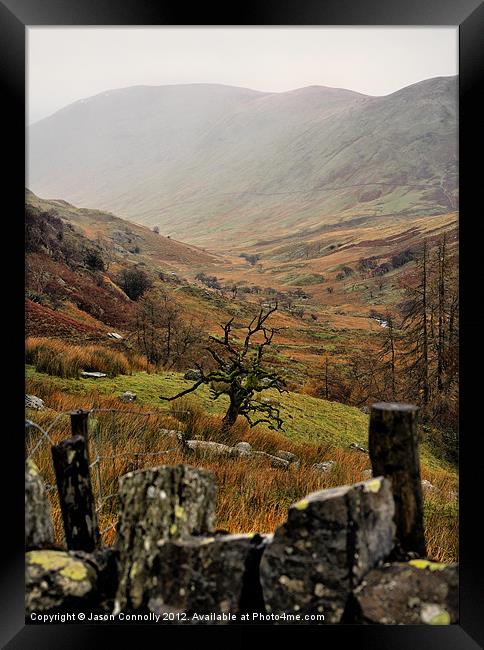 The Lone Tree, Kirkstone pass Framed Print by Jason Connolly