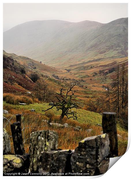 The Lone Tree, Kirkstone pass Print by Jason Connolly