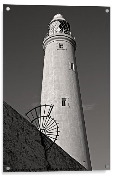 St Mary’s Lighthouse Acrylic by David Pringle