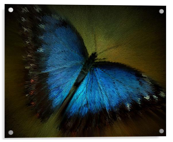 flash of blue Acrylic by Heather Newton