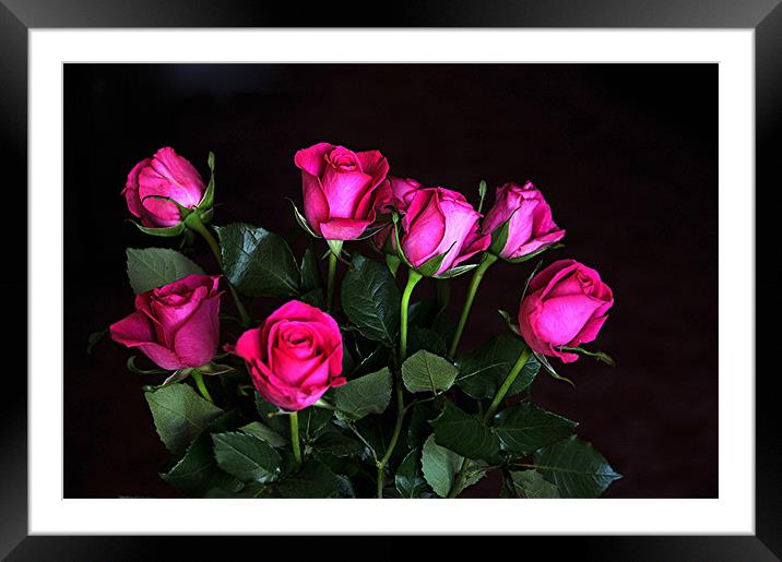 A bouquet of red roses Framed Mounted Print by Paul Judge