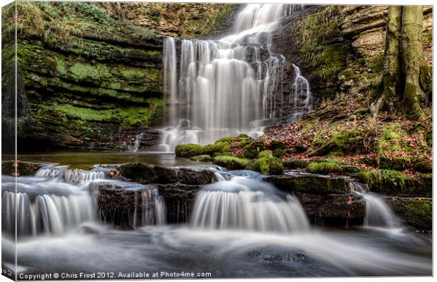 Scaleber Force Canvas Print by Chris Frost