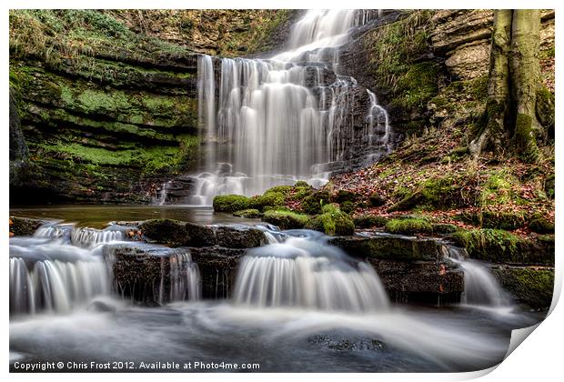 Scaleber Force Print by Chris Frost