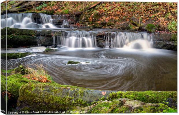 Scaleber Force Eddy Canvas Print by Chris Frost