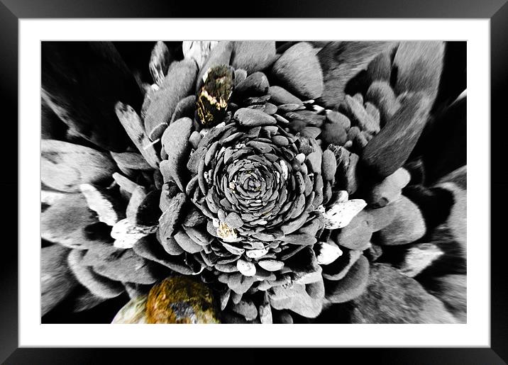 stone rosette Framed Mounted Print by keith sutton