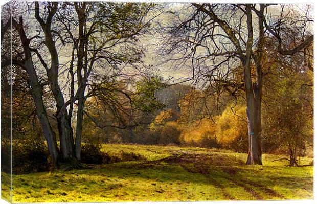 Kent Countryside Canvas Print by Dawn Cox