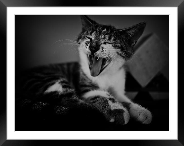 yawn Framed Mounted Print by Jo Beerens