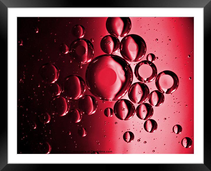 RED Framed Mounted Print by michelle whitebrook
