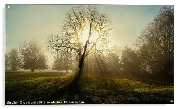 THE MIST Acrylic by Rob Toombs