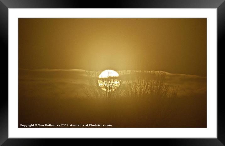 Foggy November sunrise Framed Mounted Print by Sue Bottomley
