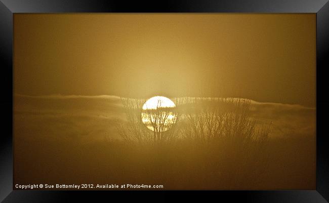 Foggy November sunrise Framed Print by Sue Bottomley
