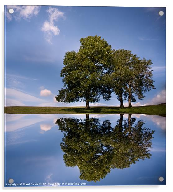 Three trees Acrylic by Paul Davis