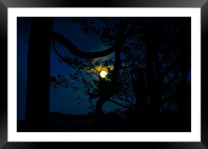 Full Moon Framed Mounted Print by Tylie Duff Photo Art
