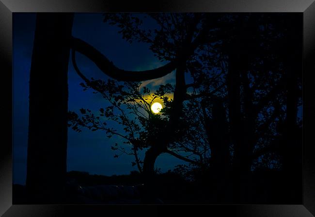 Full Moon Framed Print by Tylie Duff Photo Art