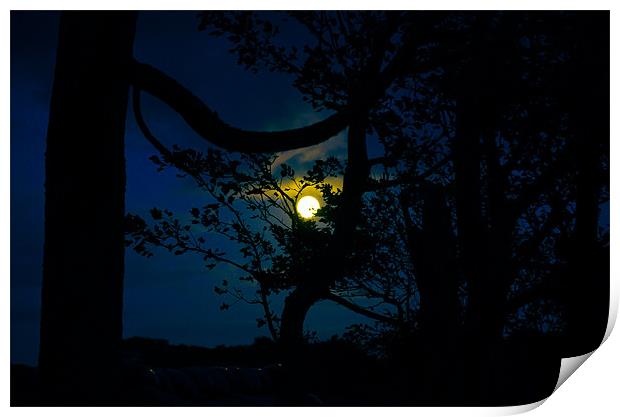 Full Moon Print by Tylie Duff Photo Art