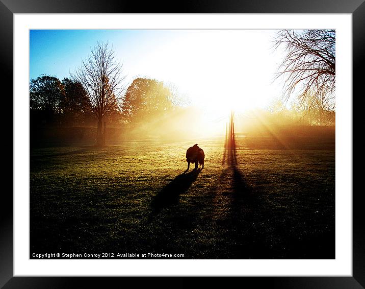 Explosive Winter Sunrise Framed Mounted Print by Stephen Conroy