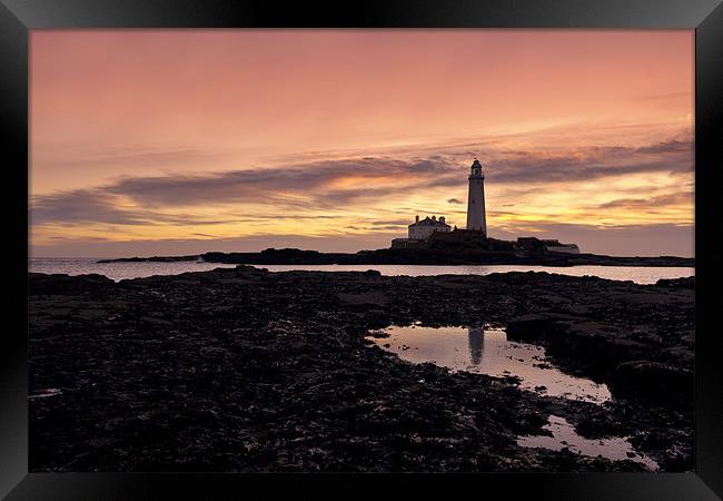 St Mary`s lighthouse Framed Print by Northeast Images