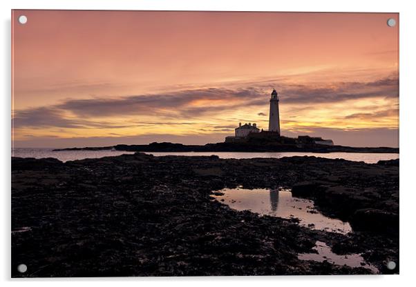 St Mary`s lighthouse Acrylic by Northeast Images