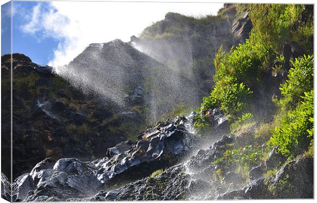 Waterfall in the Azores Canvas Print by Malcolm Snook