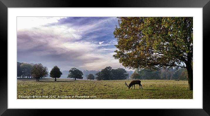 Tatton Deer Framed Mounted Print by Nick Hirst