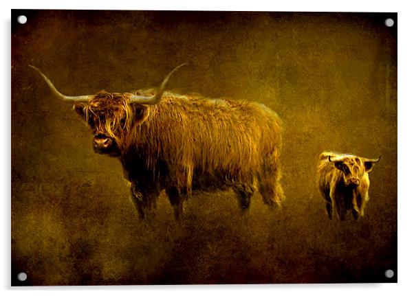 Highland cows. Acrylic by Debra Kelday
