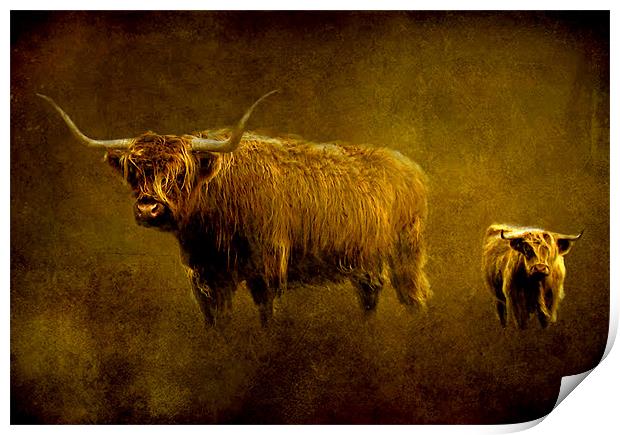 Highland cows. Print by Debra Kelday