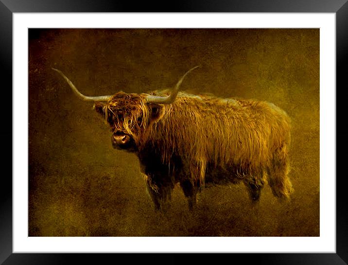 Highlander Framed Mounted Print by Debra Kelday
