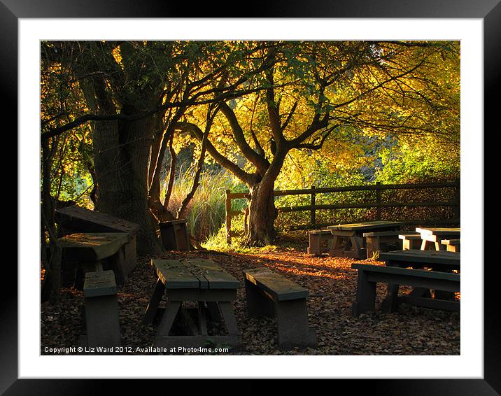 Autumn in the Classroom Framed Mounted Print by Liz Ward