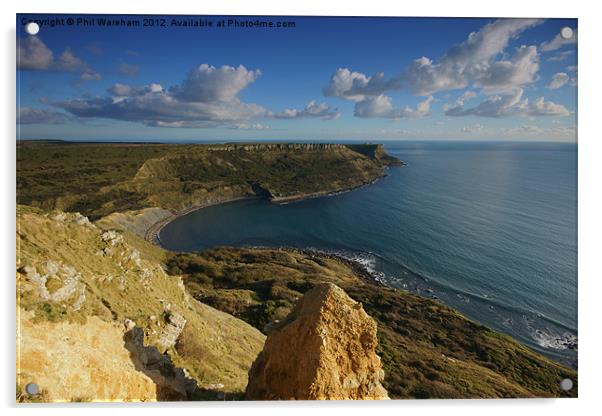 Chapman's Pool from Houns-tout Cliff Acrylic by Phil Wareham