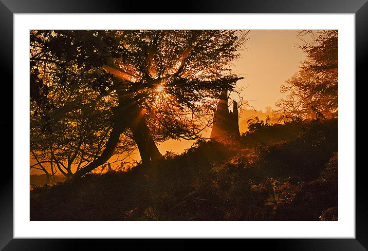 Autumn Sunburst Framed Mounted Print by Dawn Cox