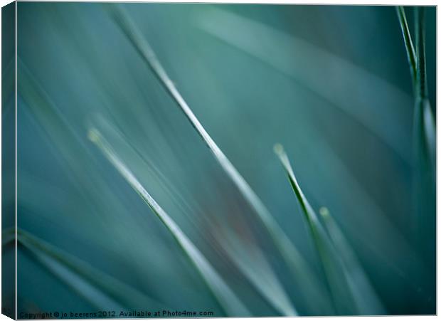 grass abstract Canvas Print by Jo Beerens